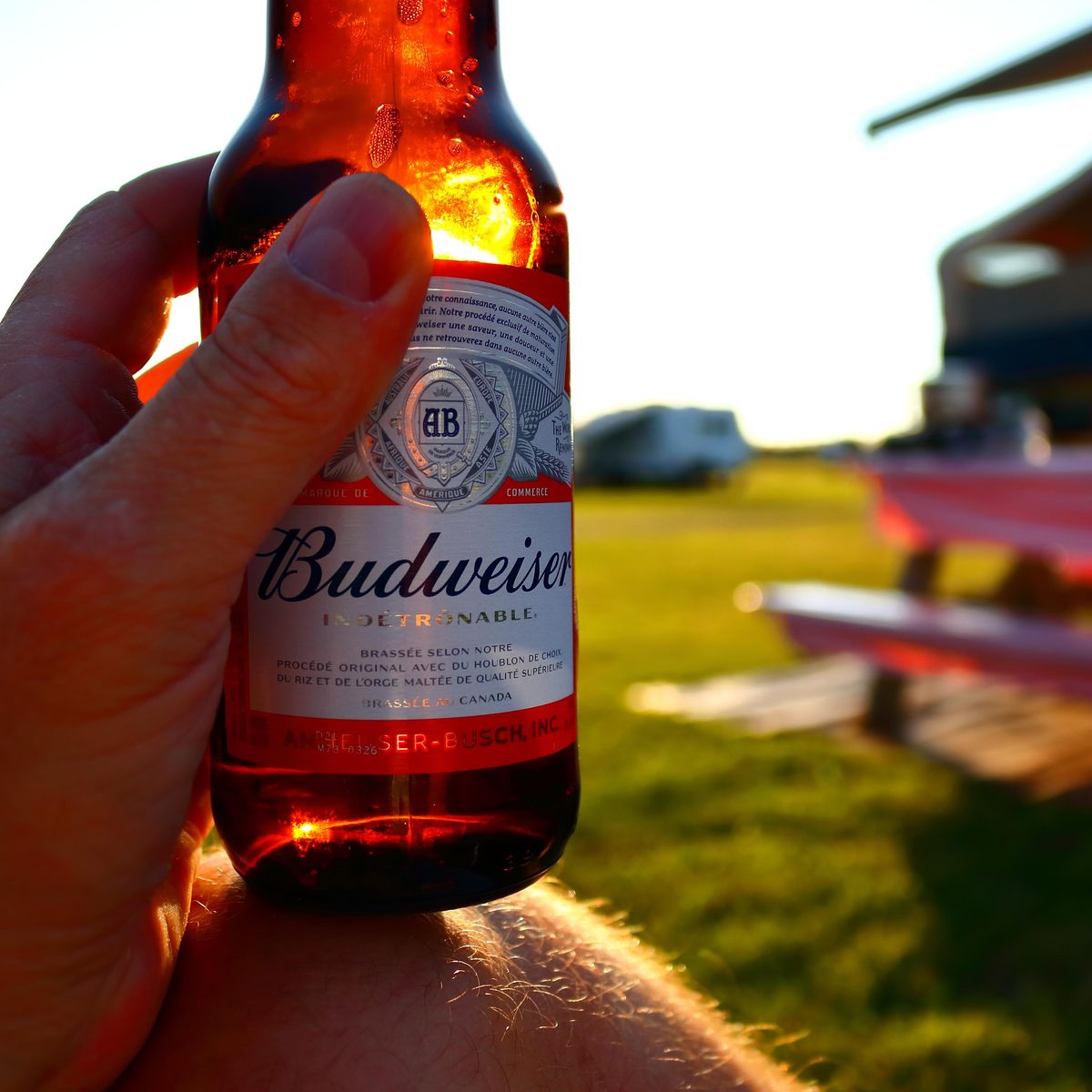 Safe and smart is the watchword for Budweiser Duels, image size:1200x1200