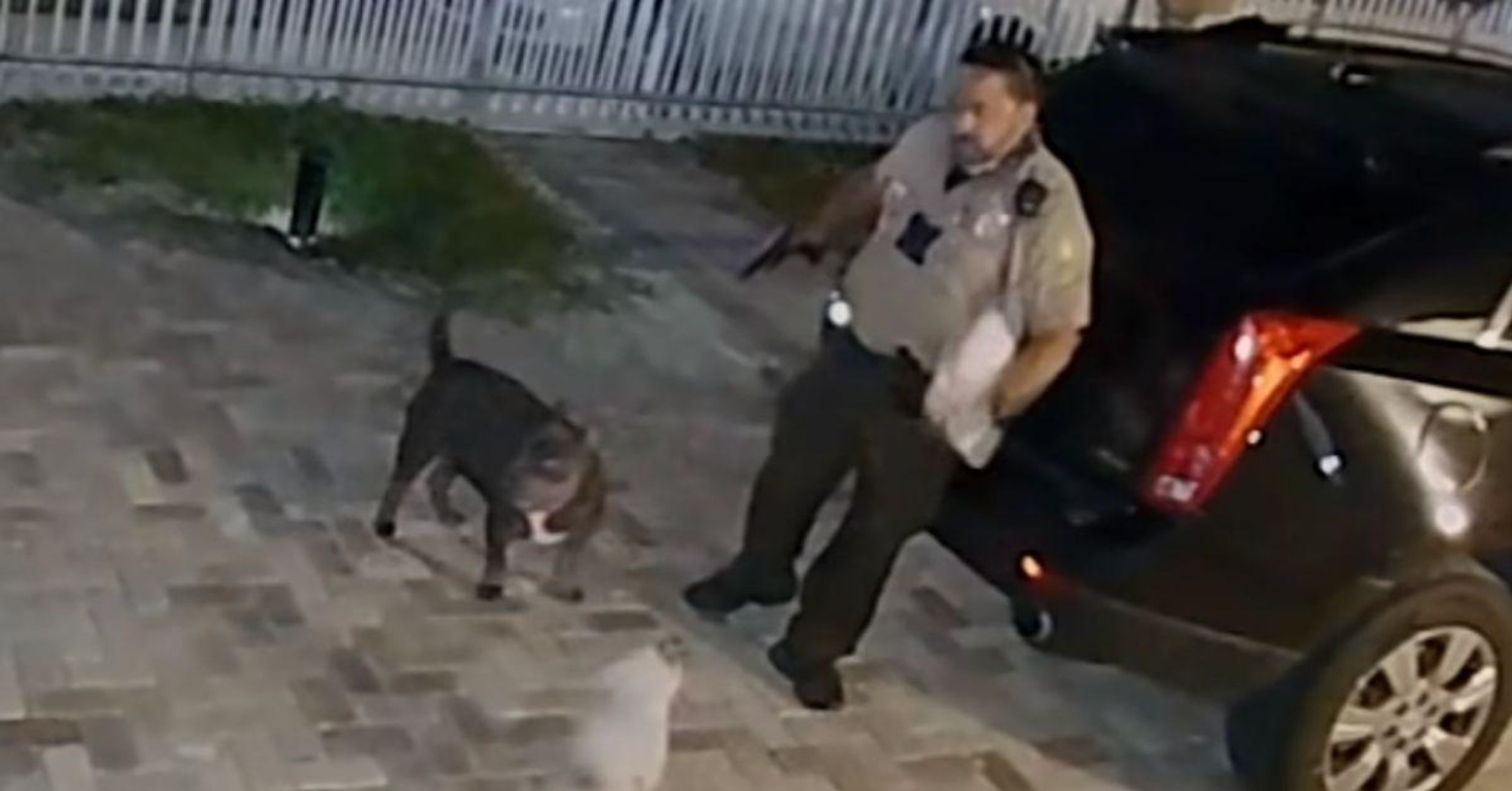 Family Horrified After Florida Cop Shoots Puppy Six Times While Responding To 'Barking Complaint' In Surveillance Video
