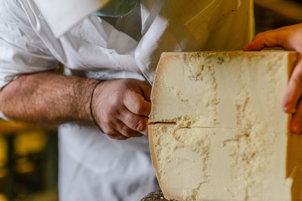 crisi cibo made in italy