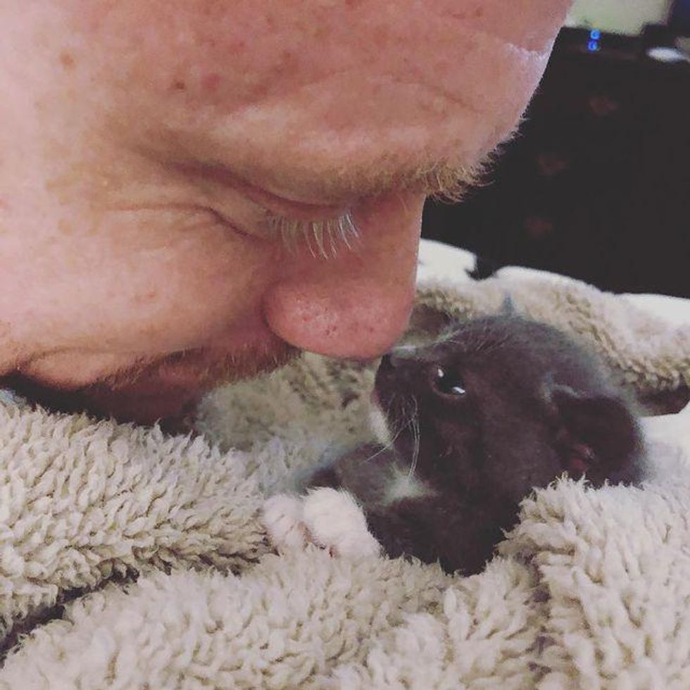 real men love cats, tiny kitten