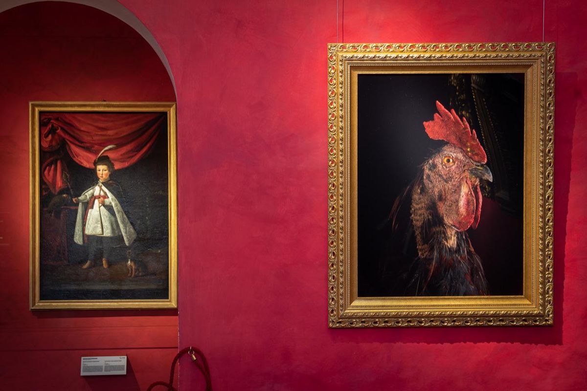 Koen Vanmechelen alla Galleria degli Uffizi