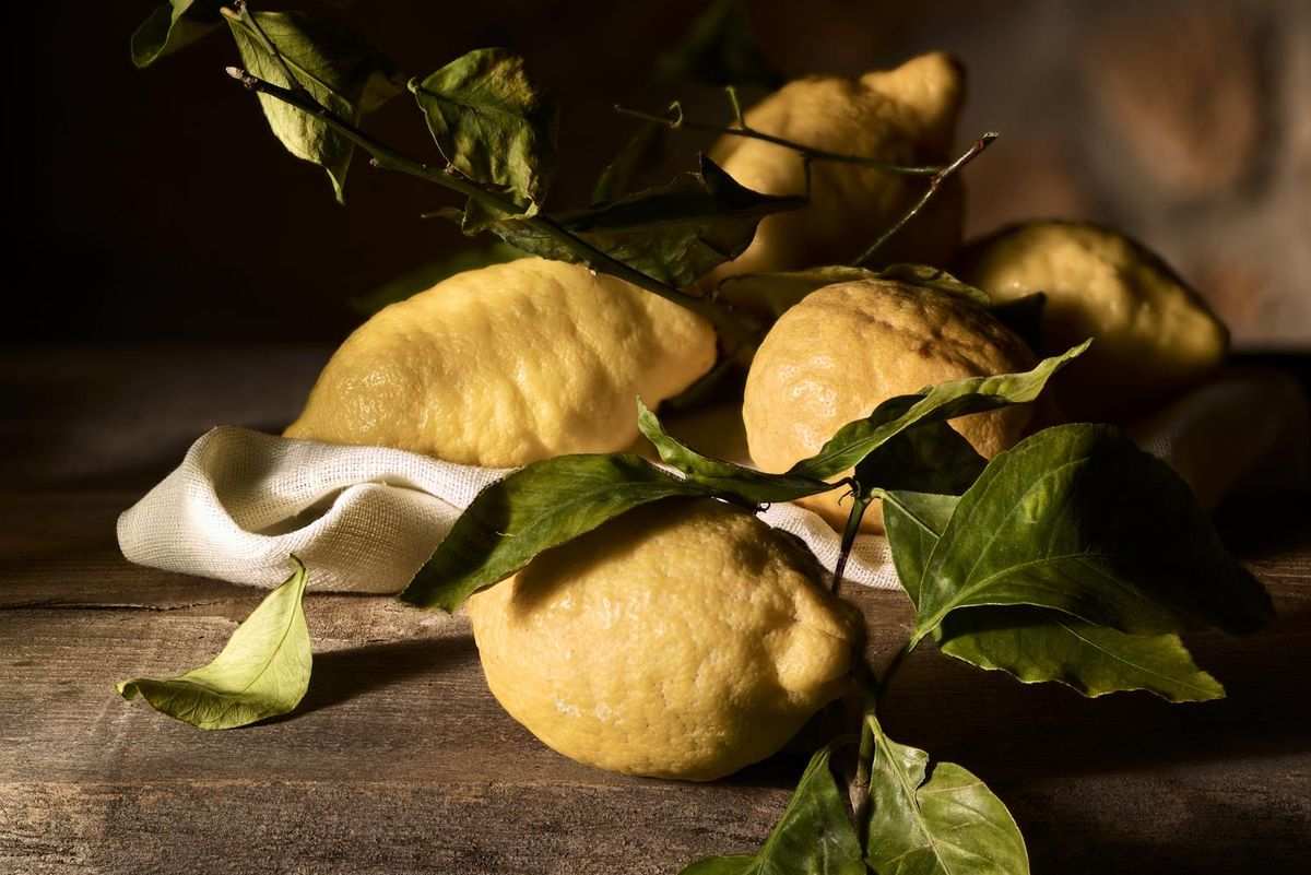 limoni cucina storia ercole