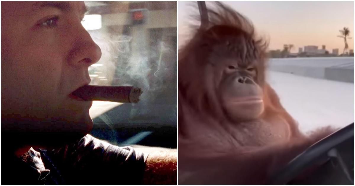 the sopranos, driving ape, tony soprano