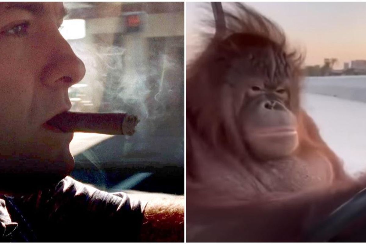 Guy masjhes up driving monkey video with 'The Sopranos' - Upworthy
