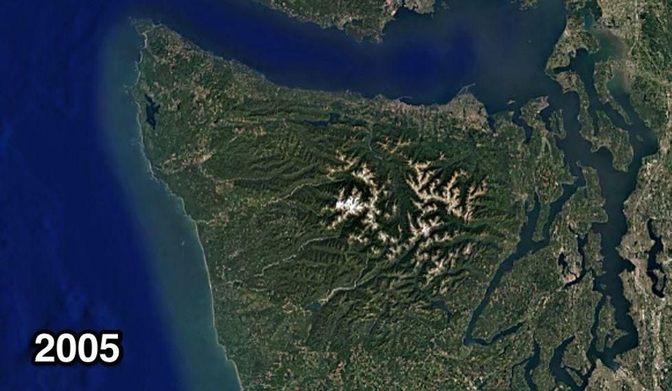 trees, parks, Google Earth