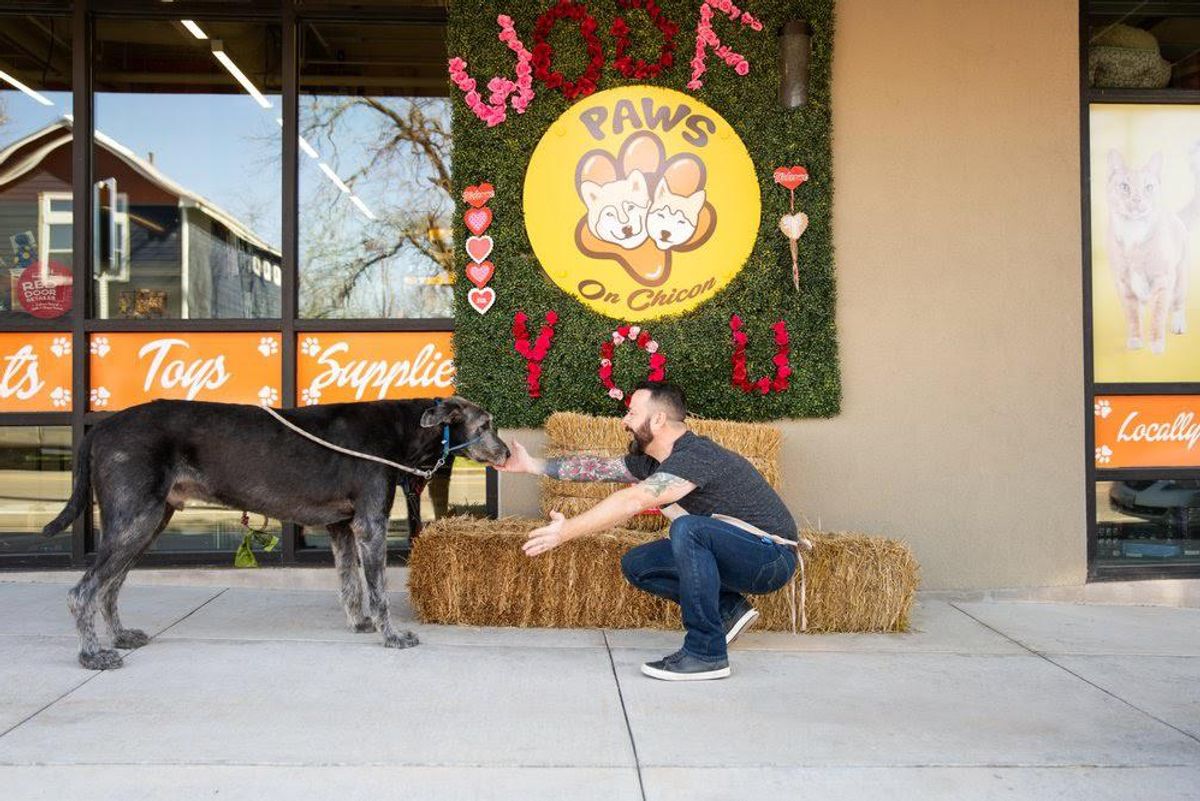 9 Austin businesses win funds from Yelp for future winter storm