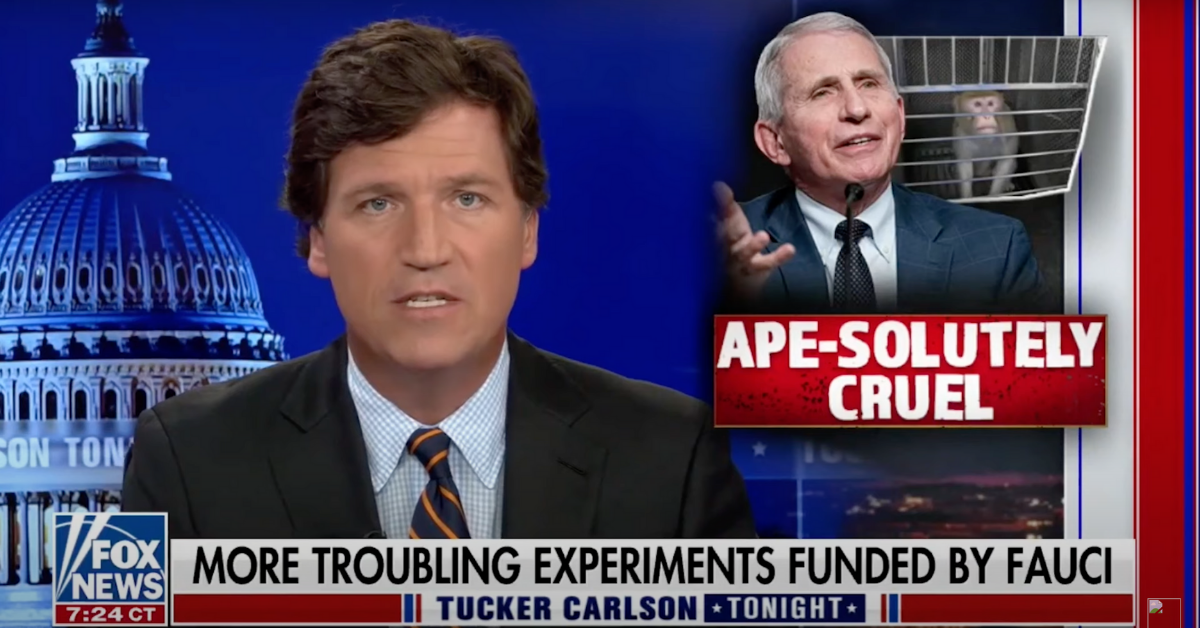 Fox News Suddenly Embraces PETA To Attack Fauci For Funding 'Transgender Monkey' Study