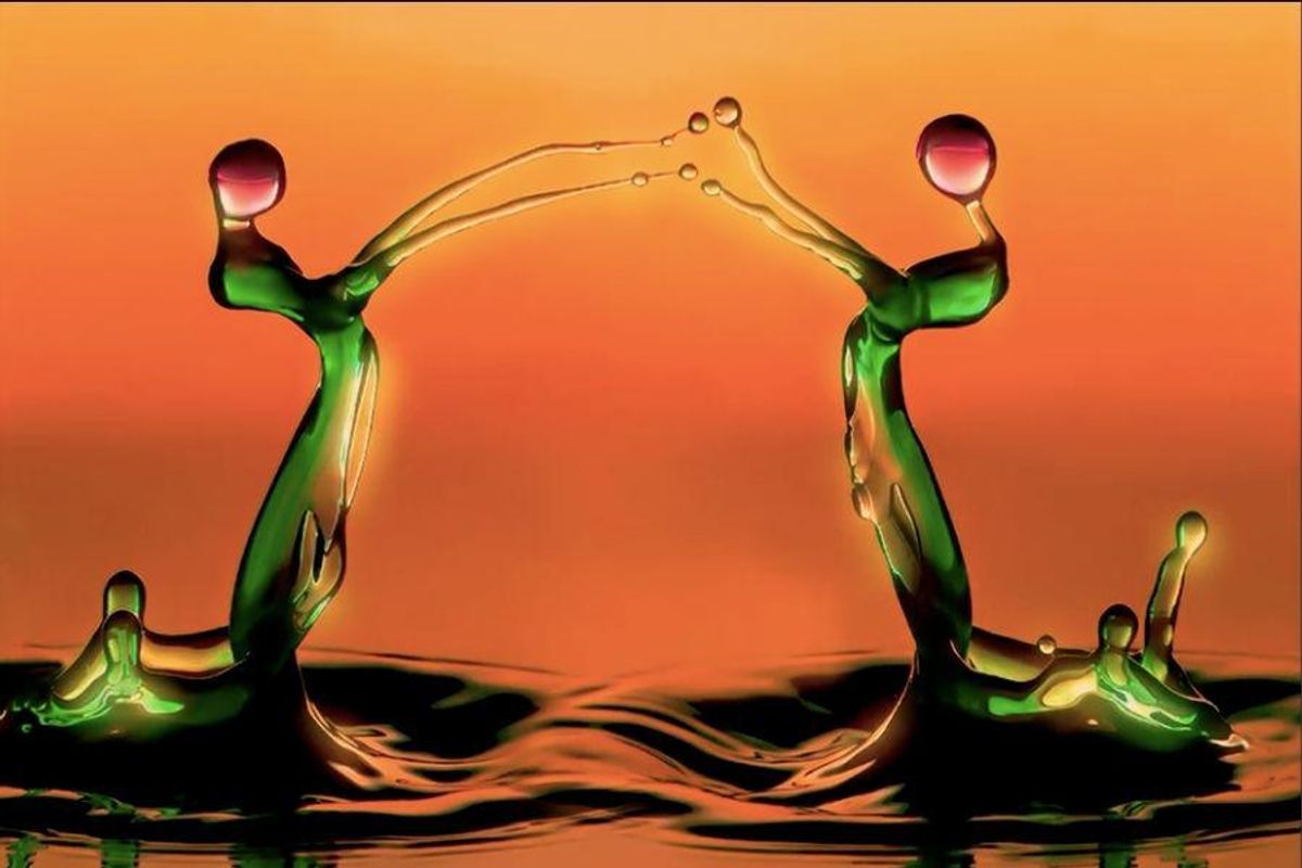 Photographer captures water droplets—'liquid sculptures'—that look like they're alive
