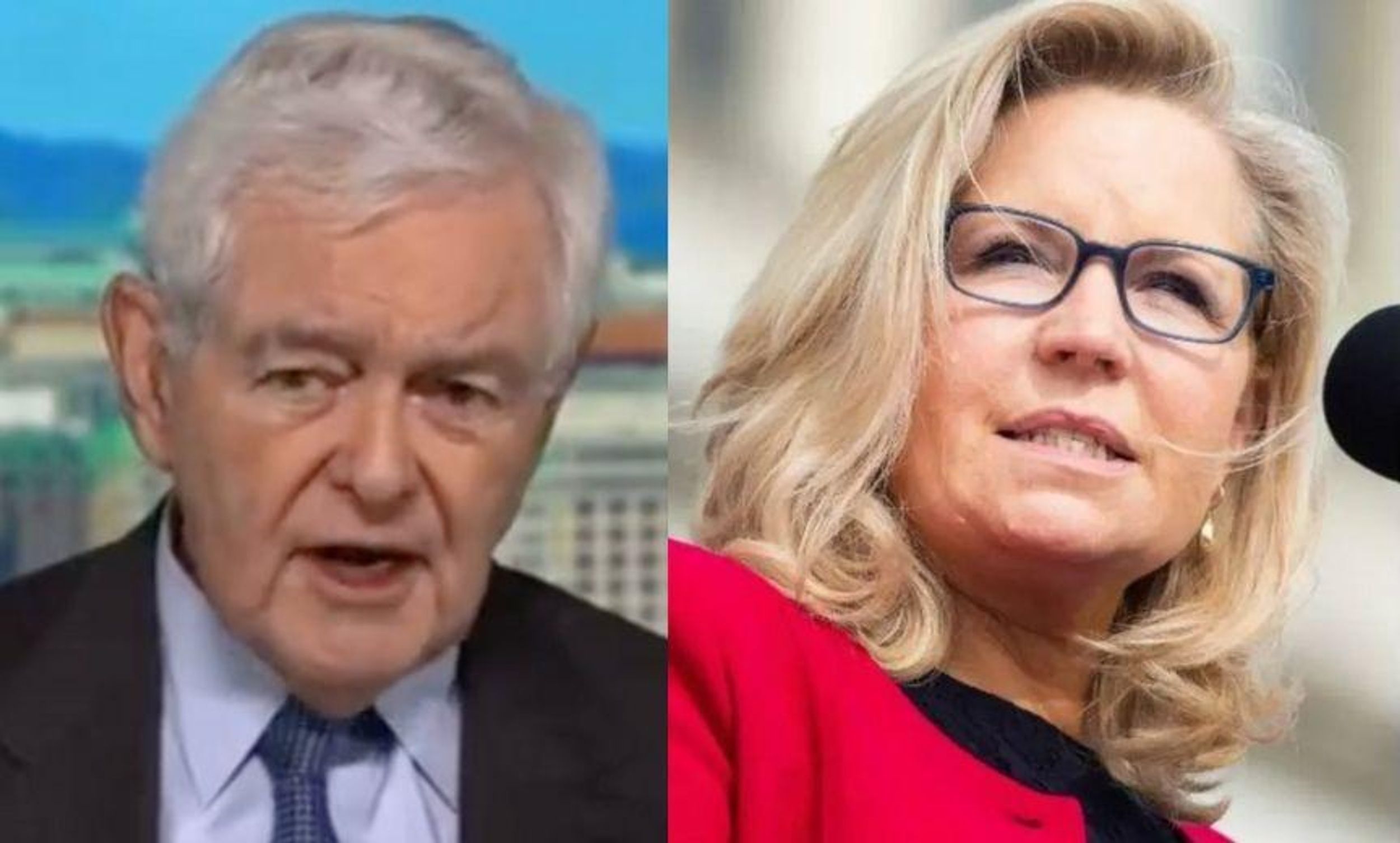 Liz Cheney Fires Back After Newt Gingrich Threatens Jan. 6 Committee Members With 'Risk of Jail'