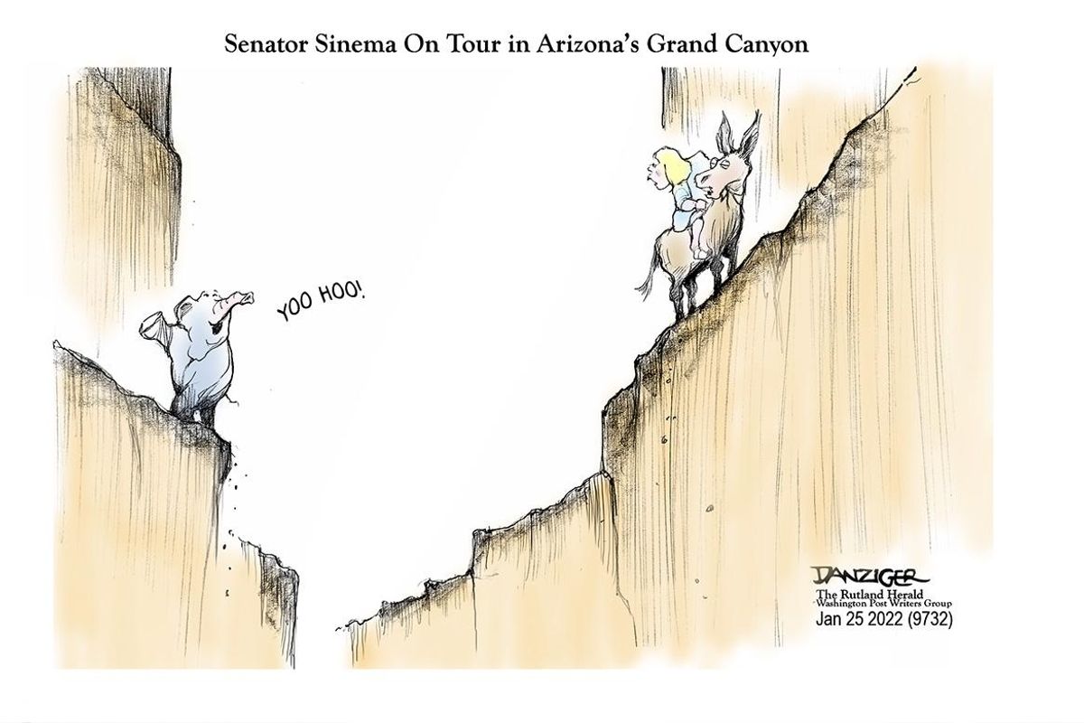 Danziger Draws