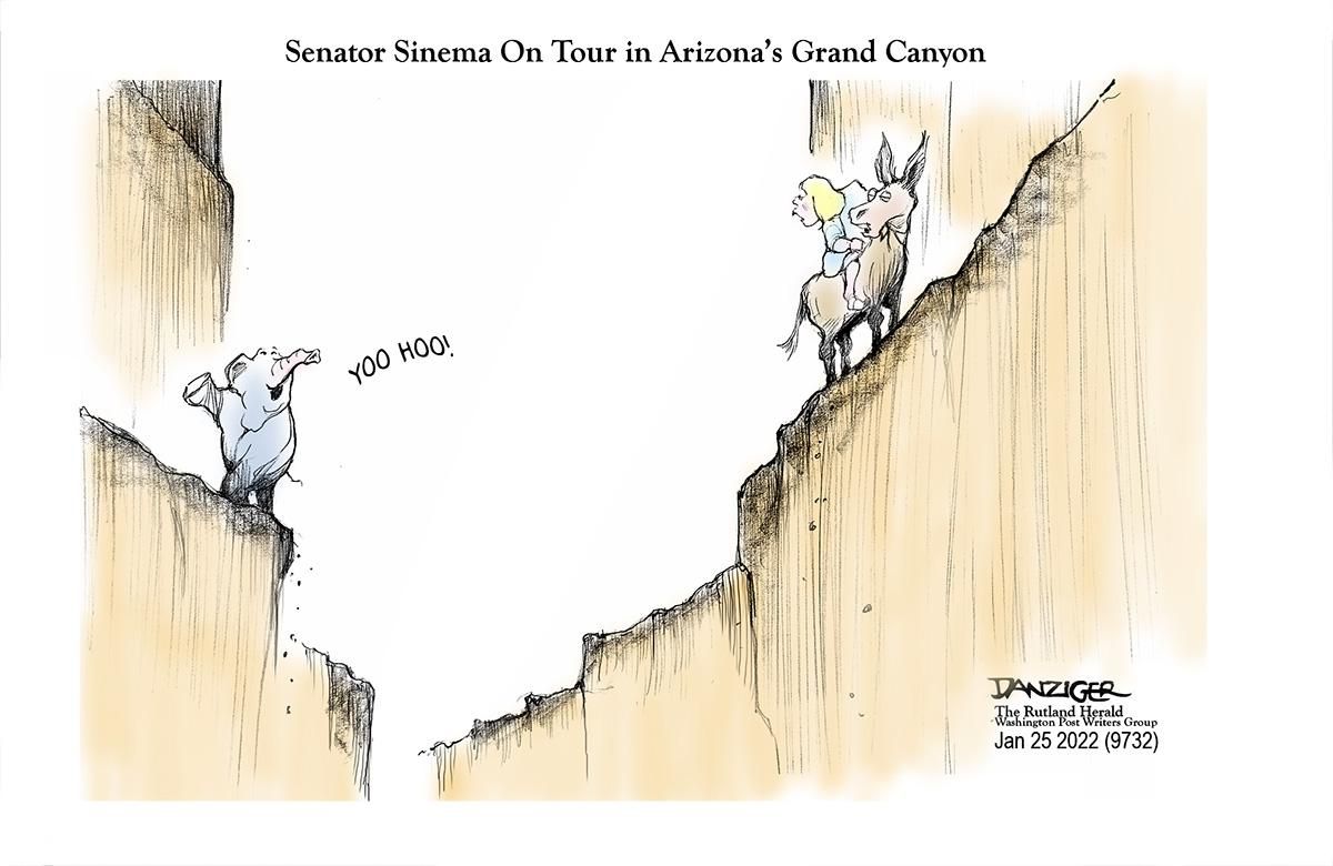 Danziger Draws
