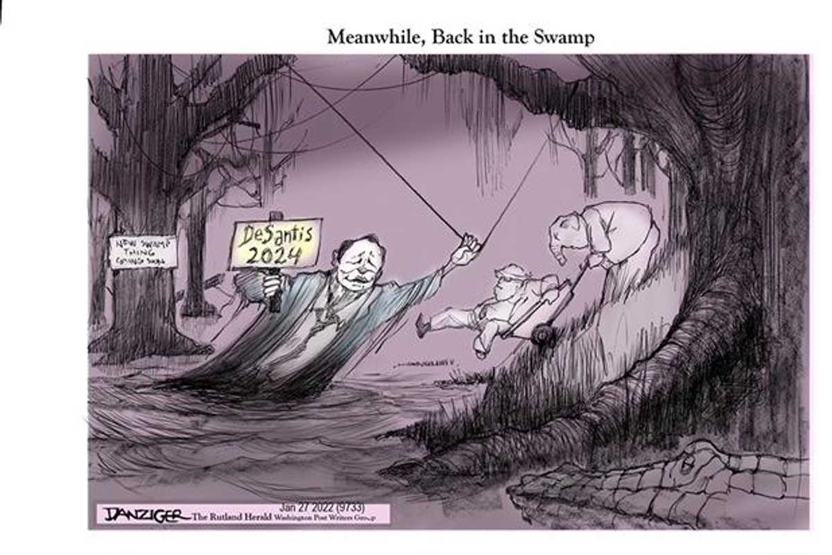 Danziger Draws