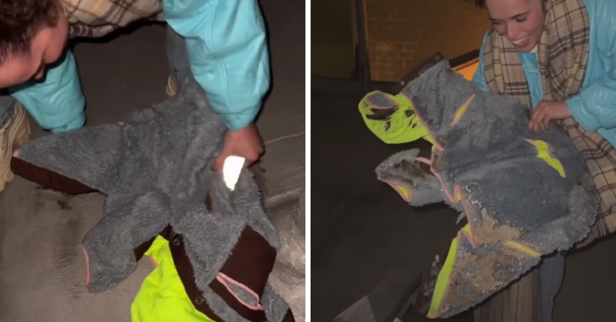 Woman Thought She Lost Rented Designer Coat—Only To Find It Frozen Solid On Friend's Apartment Roof