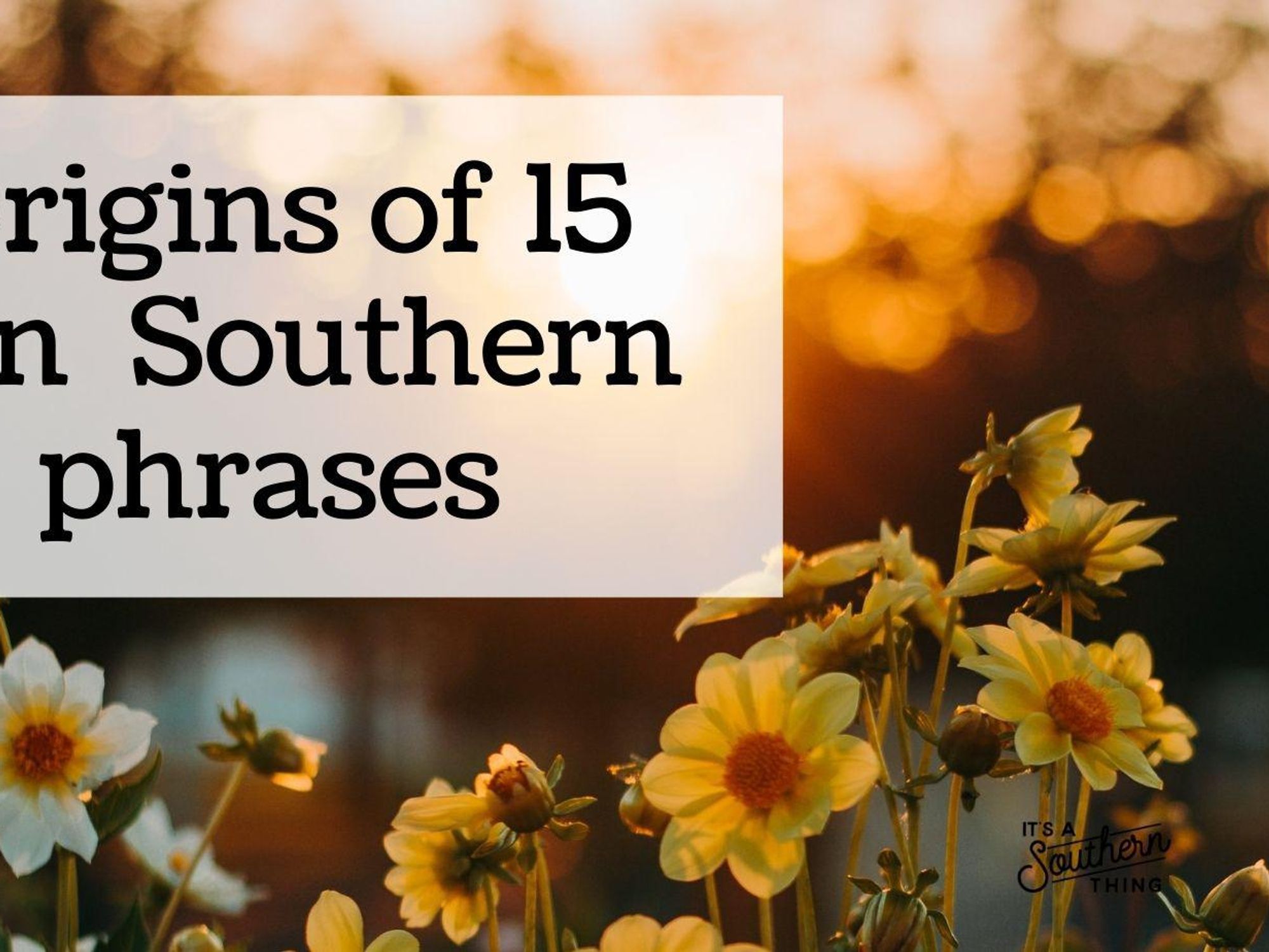 Origins of uniquely Southern words - It's a Southern Thing