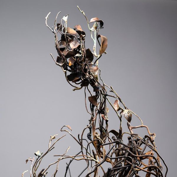 Francesco Diluca alla basilica di San Celso