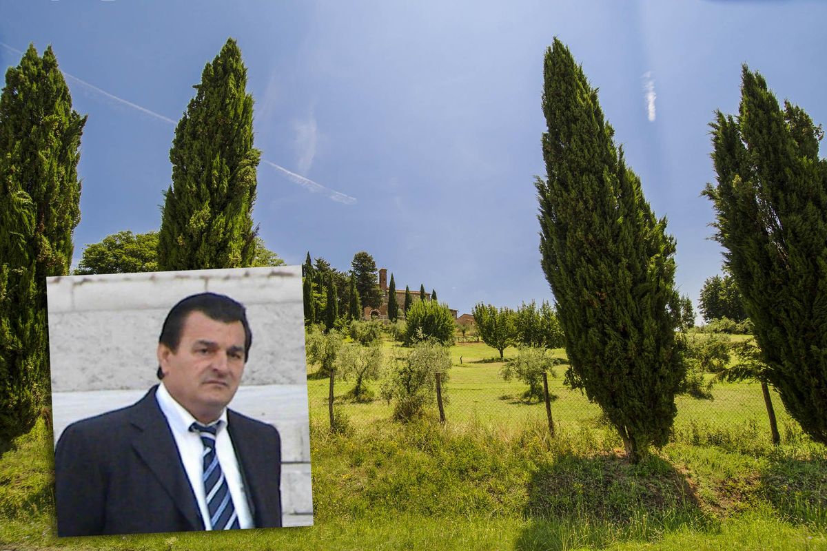 ndrangheta boschi