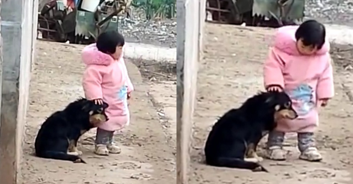 Little Girl Goes Viral After Covering Her Scared Dog's Ears During Chinese New Year Fireworks In Sweet Video