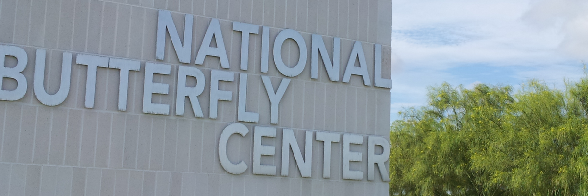 Image of National Butterfly Center