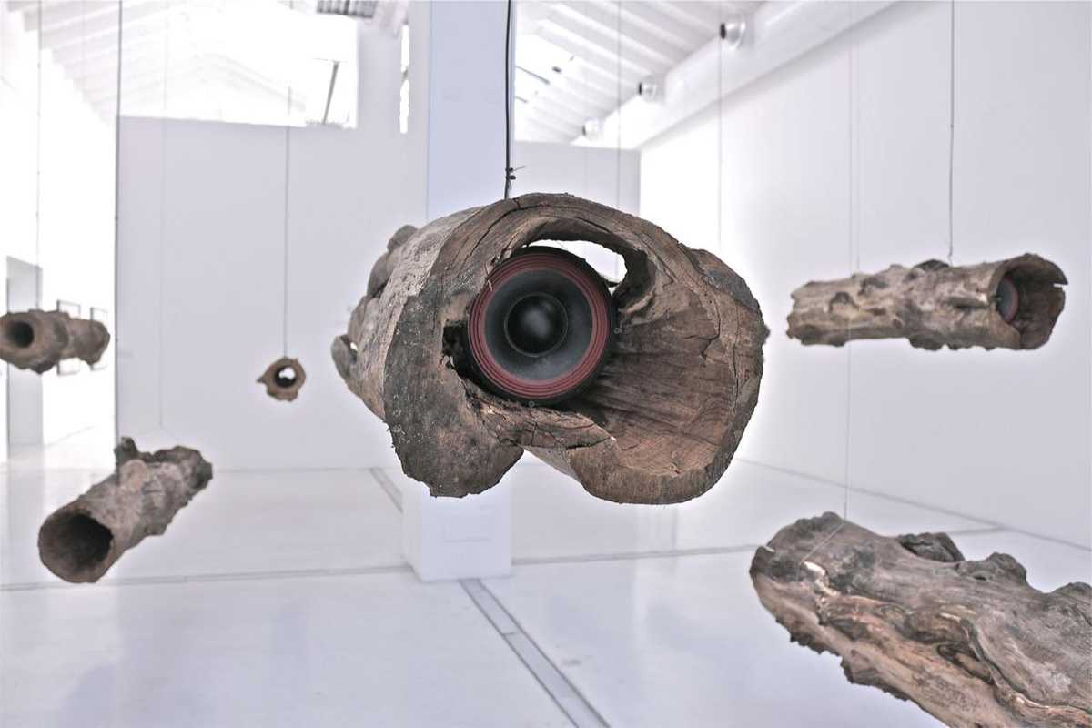 Terra Sacra alla Mole Vanvitelliana di Ancona