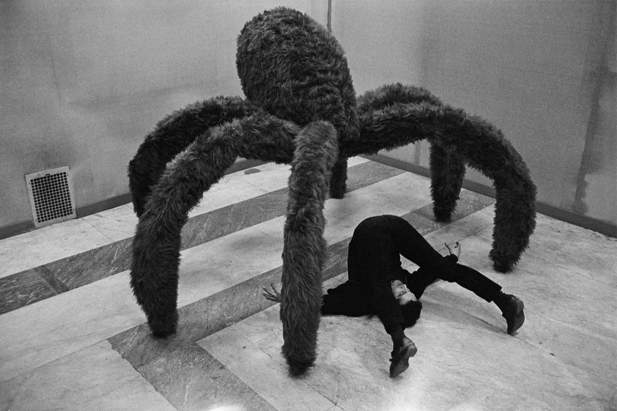 Terra Sacra alla Mole Vanvitelliana di Ancona