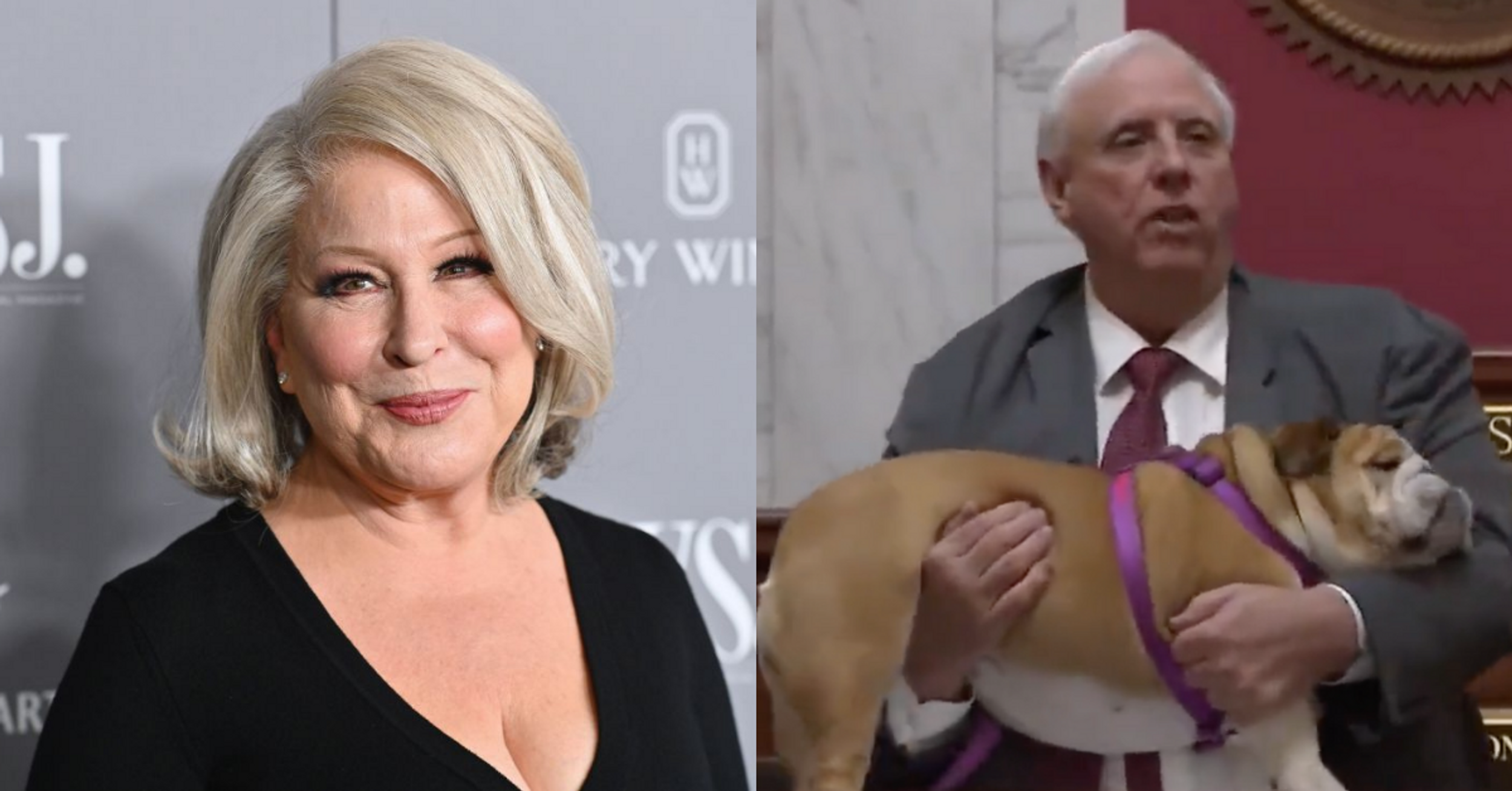 Bette Midler Claps Back Hard After West Virginia GOP Gov. Tells Her To Kiss His Dog's 'Hiney'