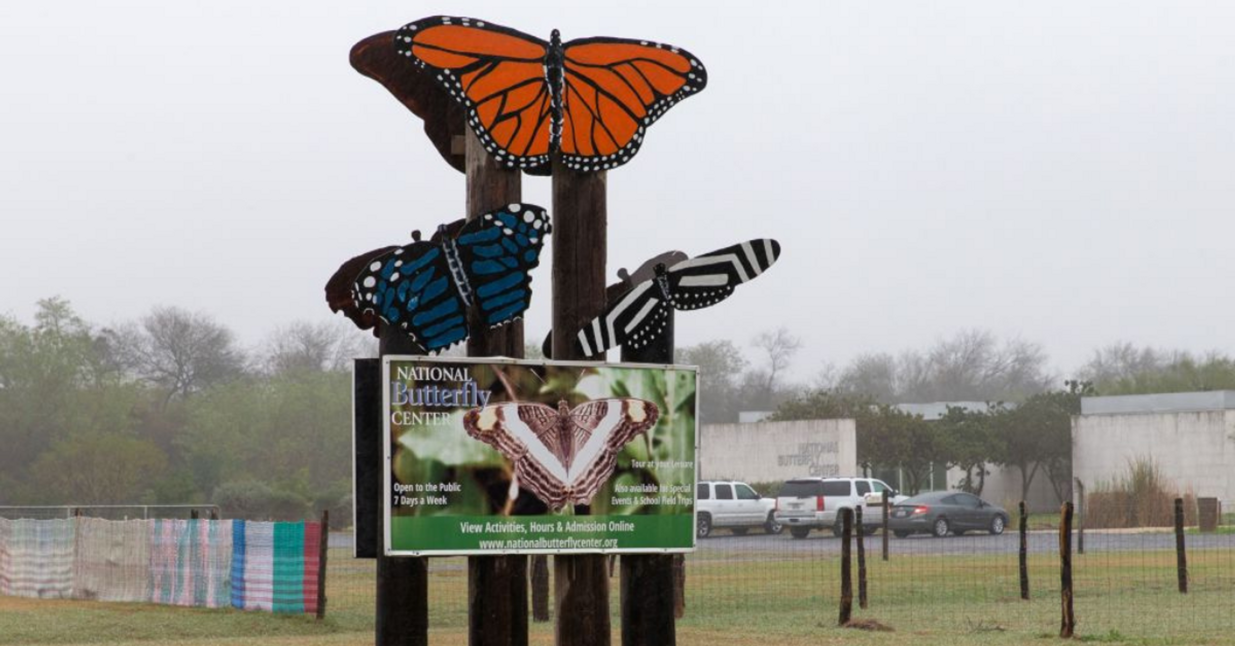 Texas Butterfly Center Forced To Close Indefinitely After QAnon Conspiracies Lead To Threats