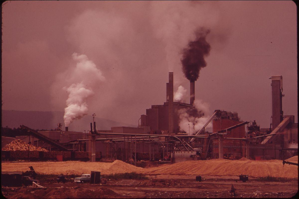 When The Environmentalists Stormed The Gates For The Union