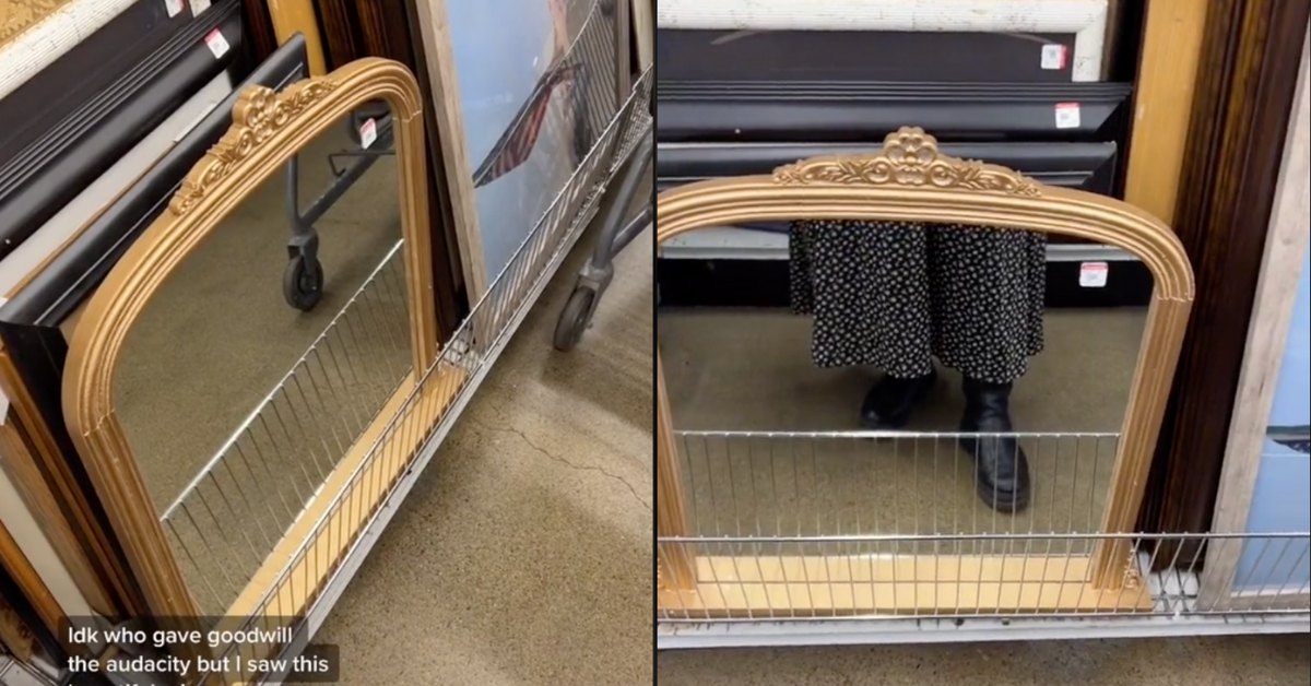 TikToker Calls Out Goodwill After Noticing The Absurdly High Price Tag On A Mirror For Sale