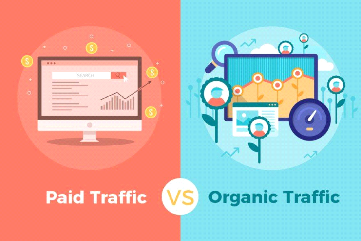 Comparison Organic Vs Paid traffic