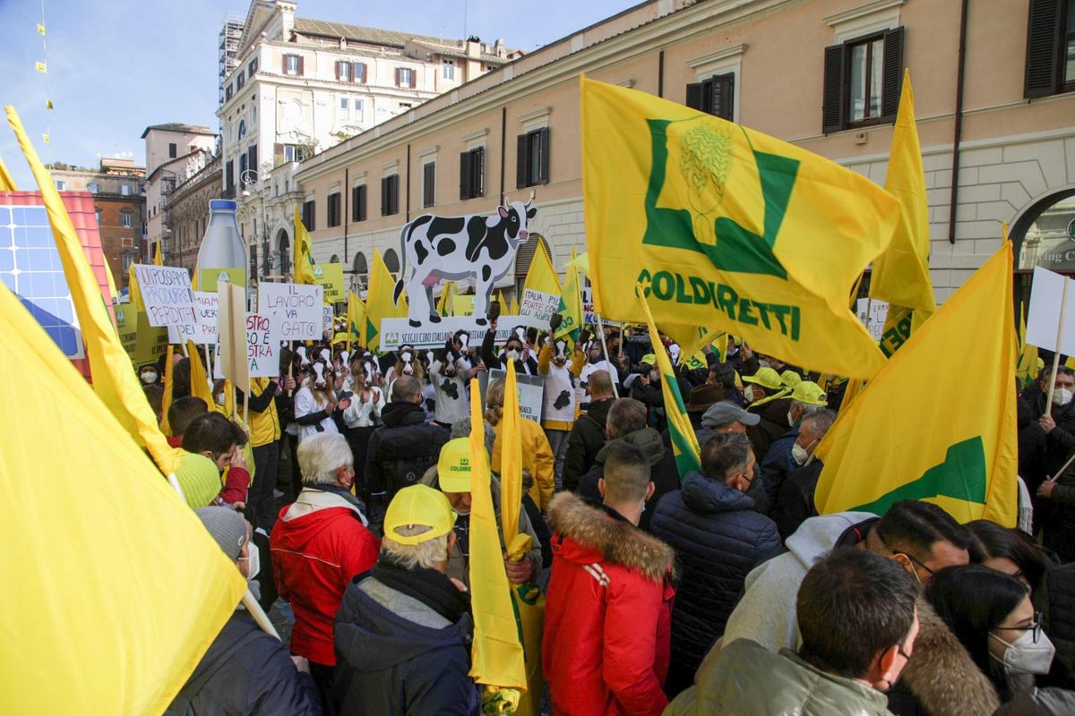 Contadini in piazza contro l’inflazione e i prezzi imposti dalle grandi catene