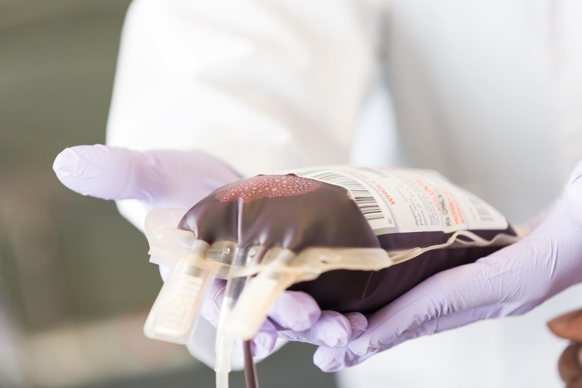 «Contro nostro figlio è crociata ideologica. Si poteva trovare la soluzione in fretta»