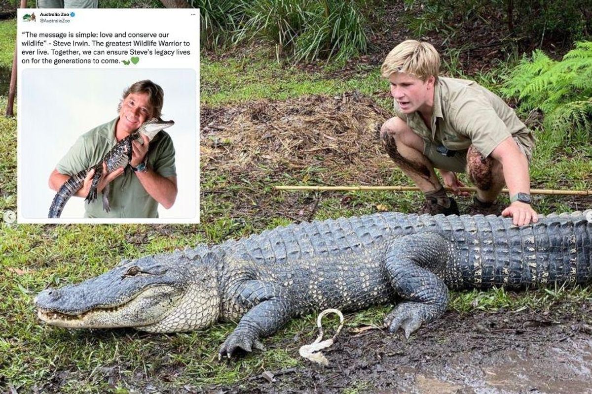 Robert Irwin honors his father's legacy—wrestling crocs and teaching us to  respect nature - Upworthy