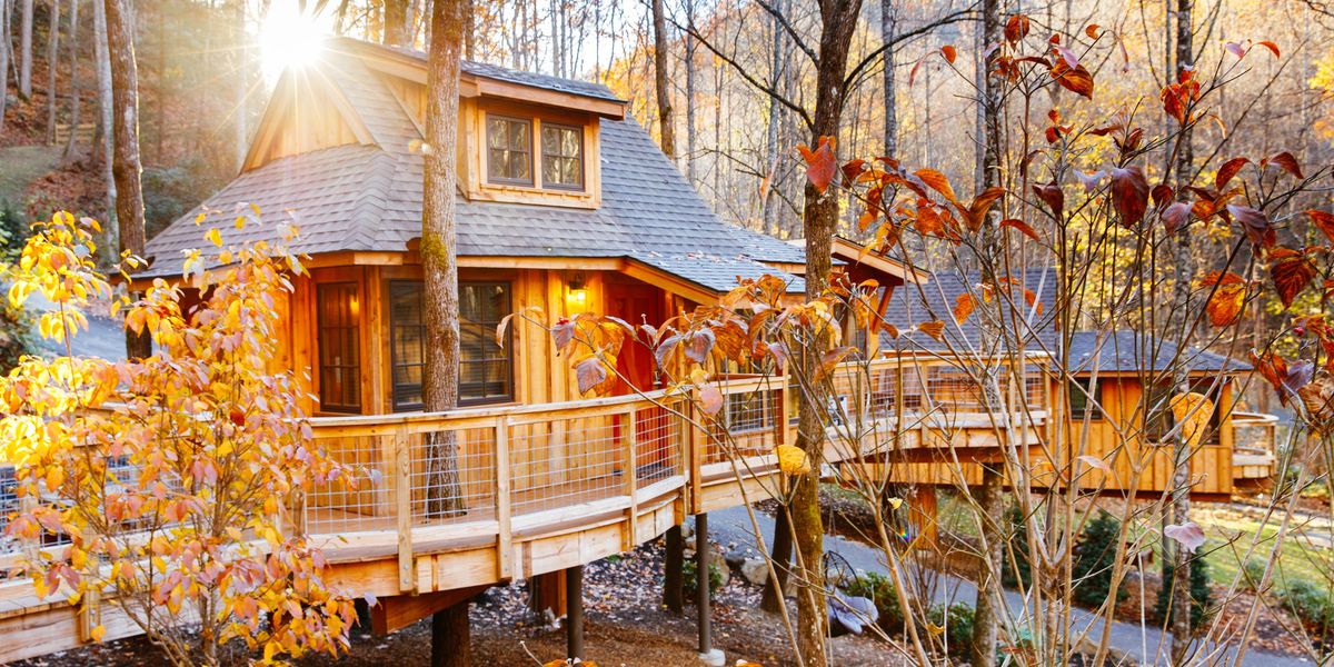 Eight new familyfriendly luxury treehouse rentals coming the Smoky