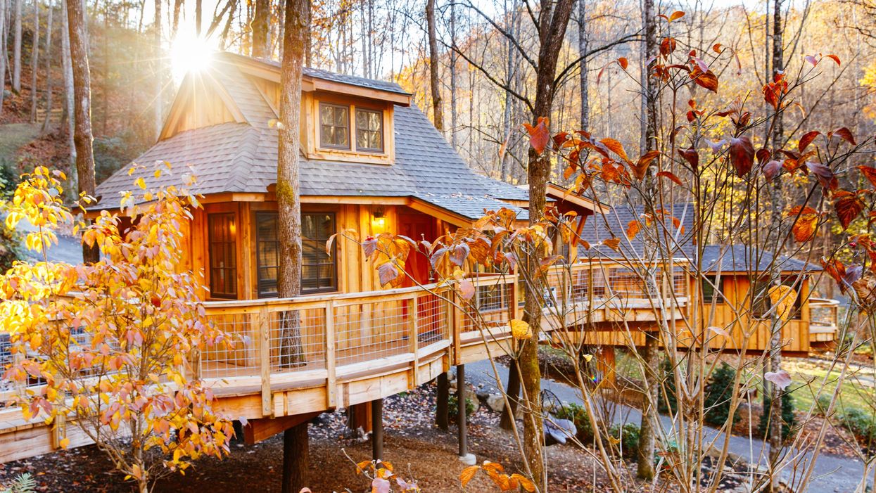 Eight new family-friendly luxury treehouse rentals coming the Smoky Mountains