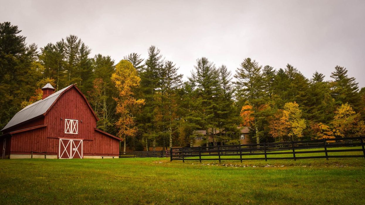 People Who Grew Up In The Country Share Things Every City Kid Should Know