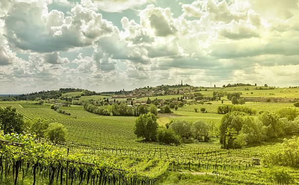 Vita di campagna batte stress da città