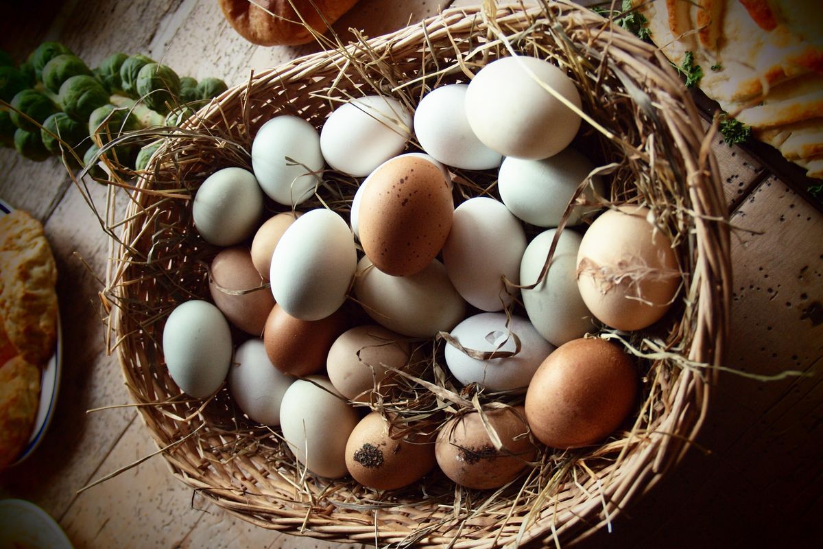 Sfumature di uova