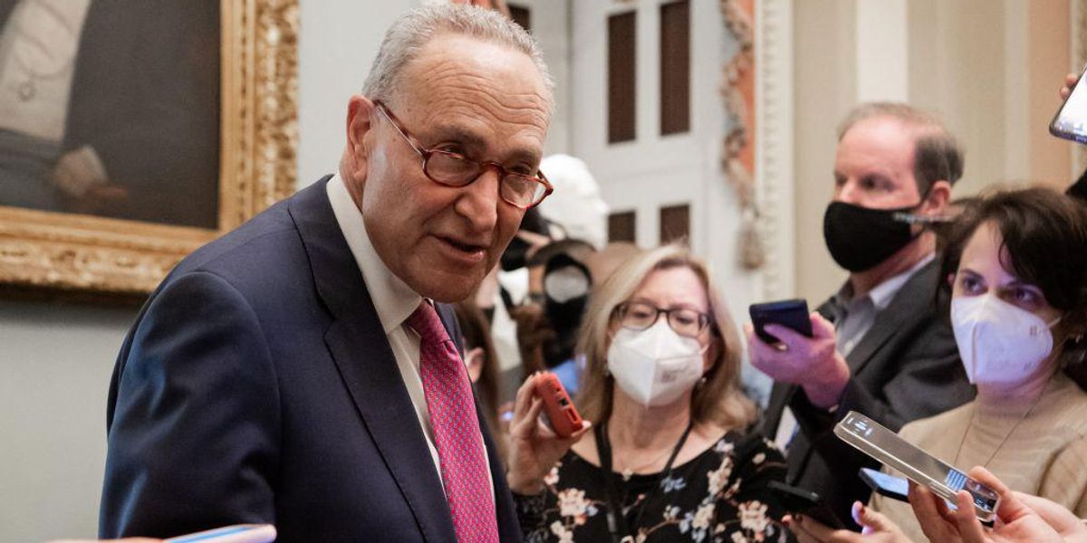 Senate Democrats Working on Bill to Codify Roe v. Wade Into Law 1 image