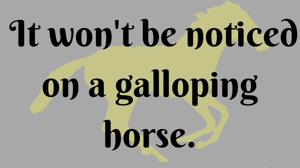 15 Southern phrases about horses we all grew up hearing