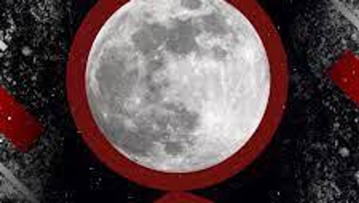 Fox Network’s Lara Logan Goes Full QAnon, Questions Moon Landing