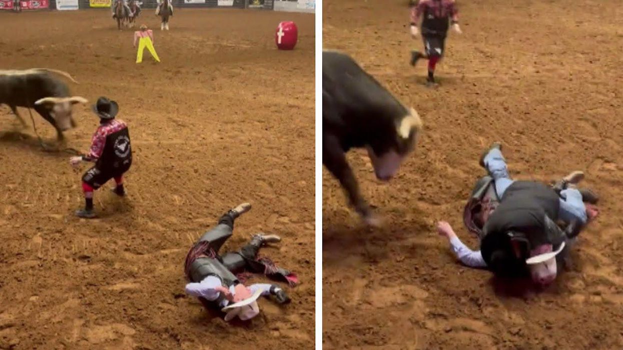 Watch Texas dad protect son from charging bull at rodeo