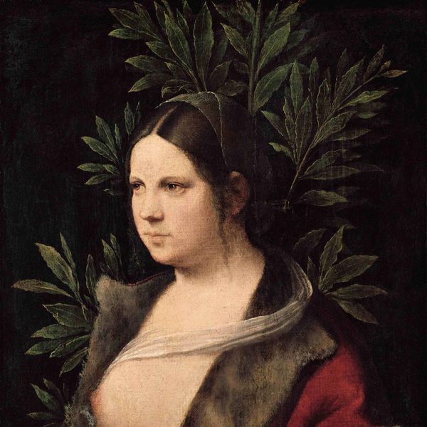 Tiziano e l'immagine della donna nel '500 veneziano
