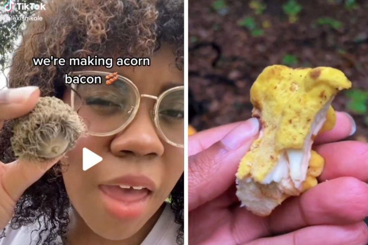 TikTok star shares the lost art of foraging, and the videos of what she eats are eye-opening