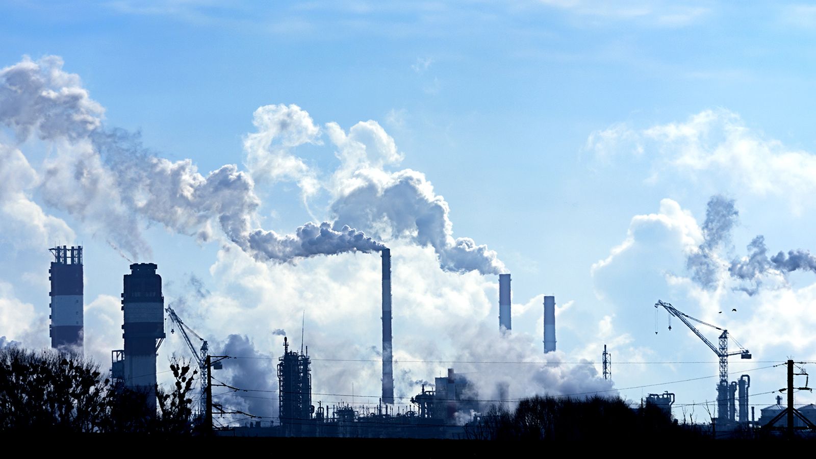 Volatile Organic Compounds