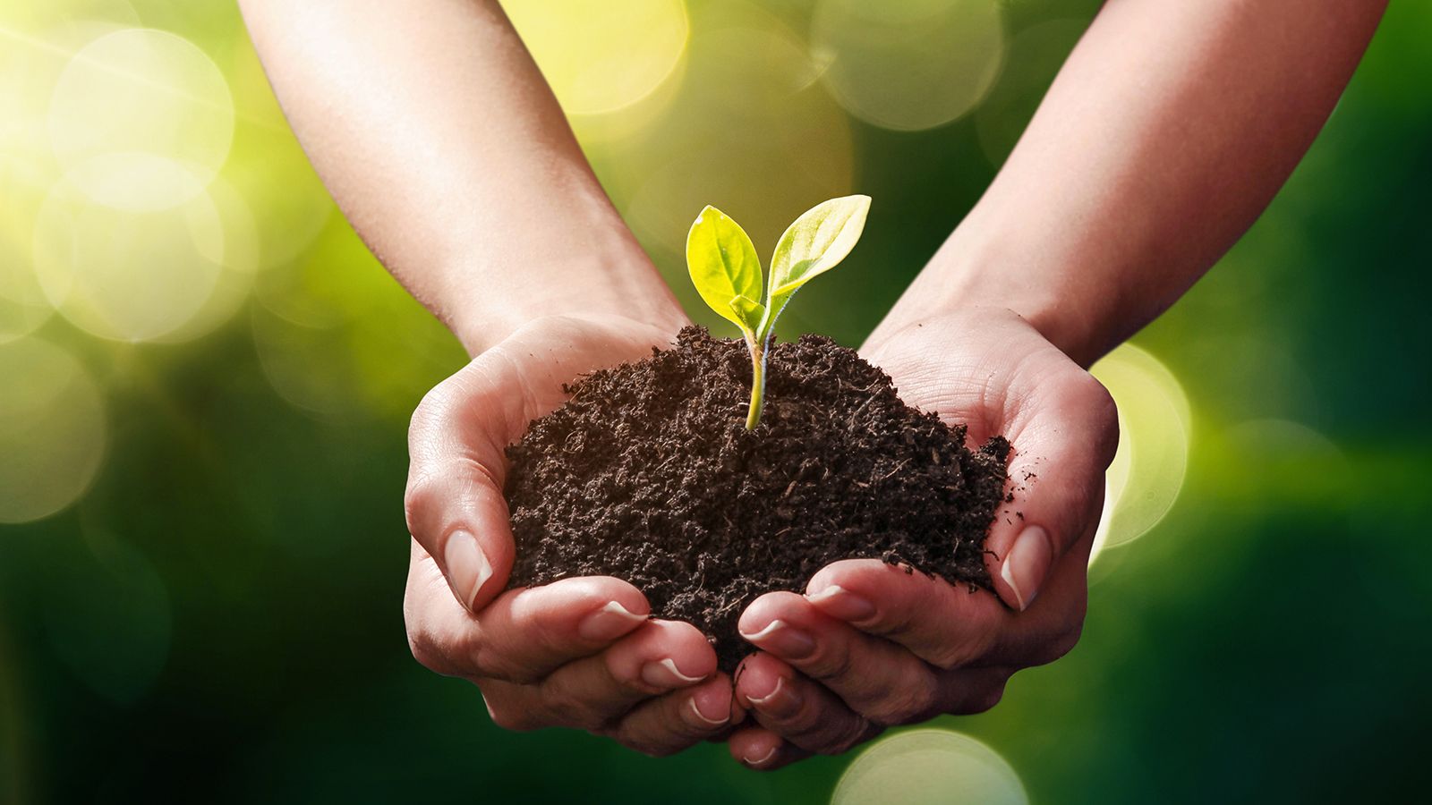 Sustainability