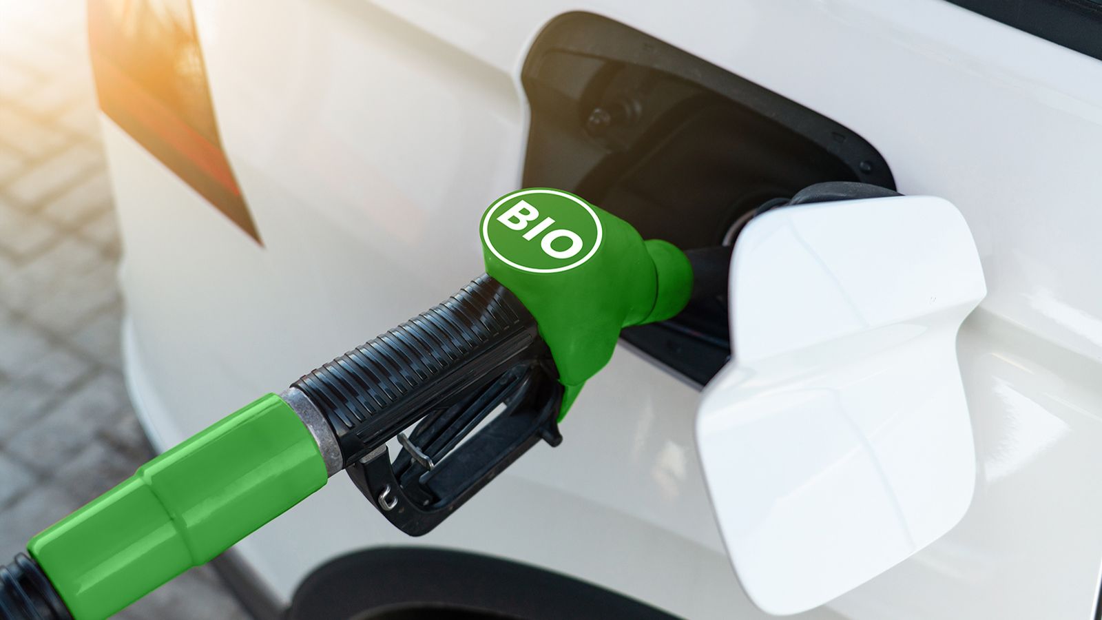 Biofuel