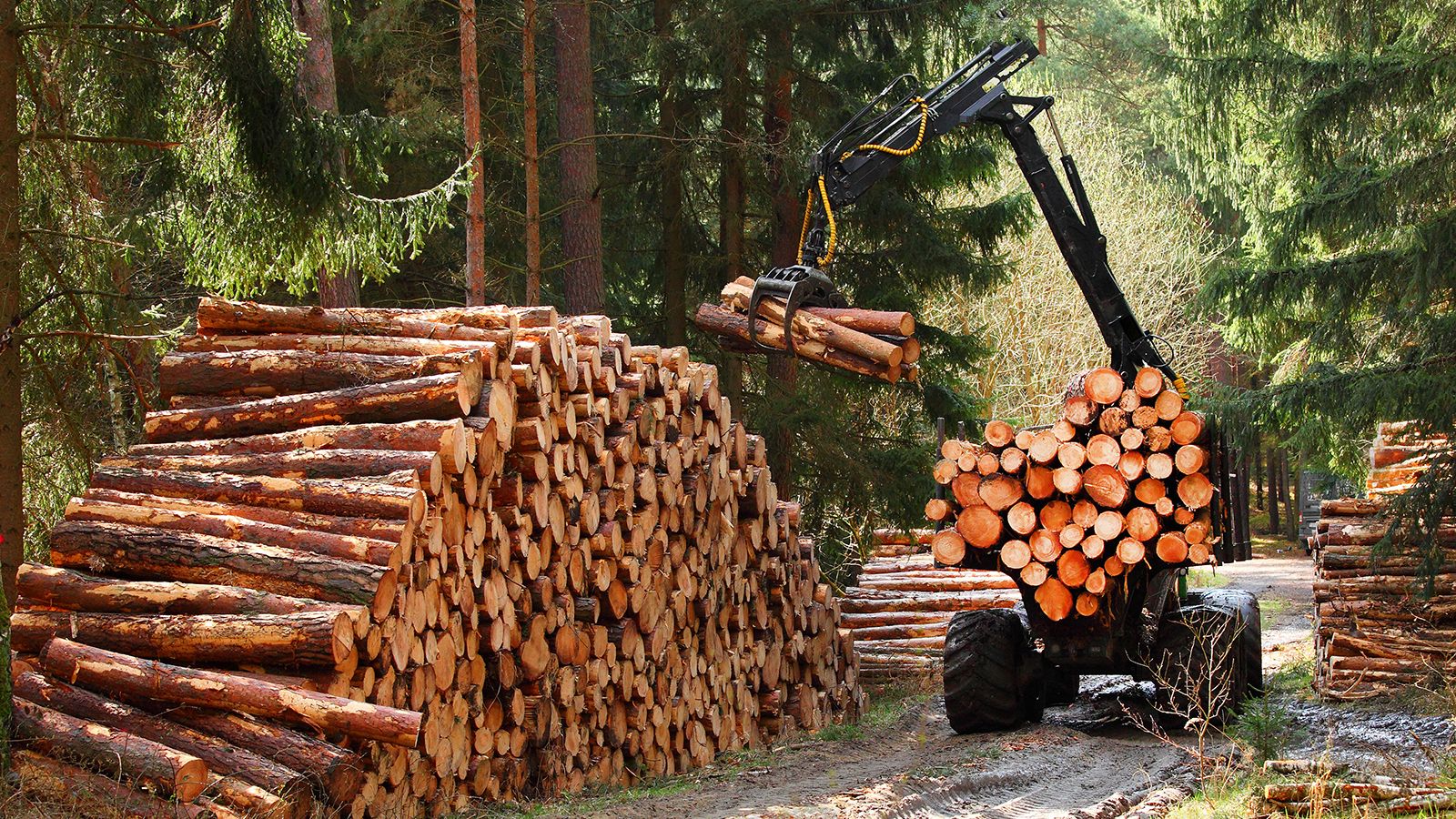 Logging Operations