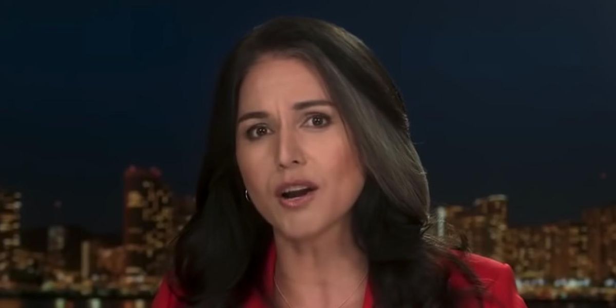 Tulsi Gabbard goes scorched-earth on Kamala Harris over Ukraine-Russia performance: 'Grade-school understanding'