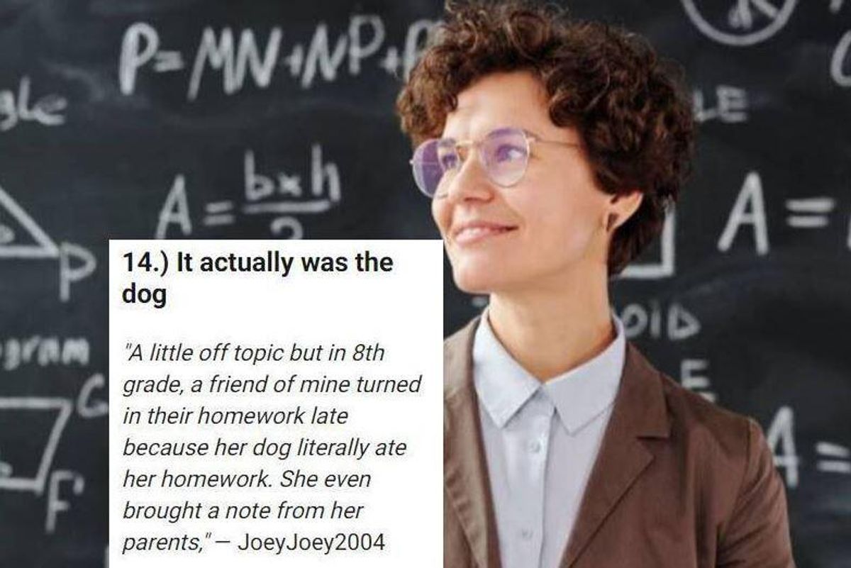 teachers, students excuses, teachers funny stories