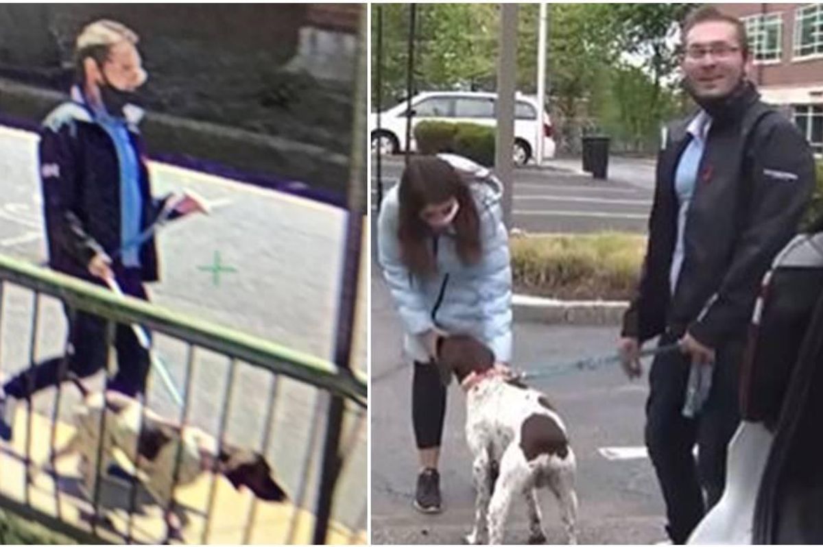 dog thief, reporter catches thief, juliana mazza 